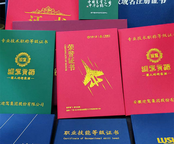 专业团队