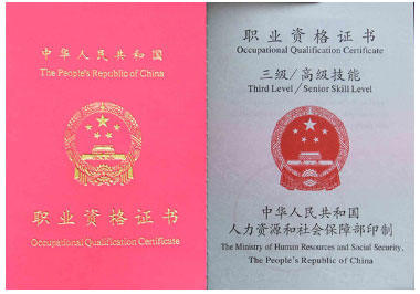 职业技能证书样本